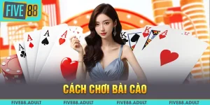 Cách Chơi Bài Cào – Trải Nghiệm Cá Cược Siêu Tốc Tại Five88