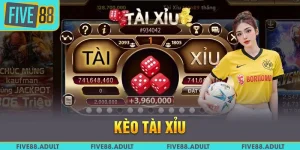 Tổng Hợp Toàn Bộ Thông Tin Kèo Tài Xỉu Bóng Đá Five88