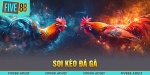 Soi Kèo Đá Gà Từ FIVE88 - Giúp Bạn Làm Giàu Từ Niềm Đam Mê
