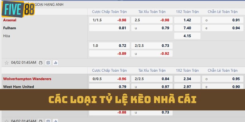 Khám phá ngay 4 loại kèo thường gặp tại web cược này